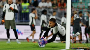 "Pišite o Stankoviću" Srbin heroj Venecije 