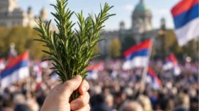 Zašto se "Ruzmarin" ori na skupovima? Pesma Merime Njegomir posle 33 godine dobila novo značenje