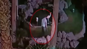 Popio 40 piva, pa ukrao flaminga iz hotela! Odneo pticu u sobu na 14. spratu, a sada je stigla presuda