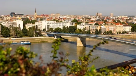 Šta je ovo isplivalo iz Dunava?! Neobična životinja kod Kovina zbunila ljude, svi se pitaju o čemu je reč!