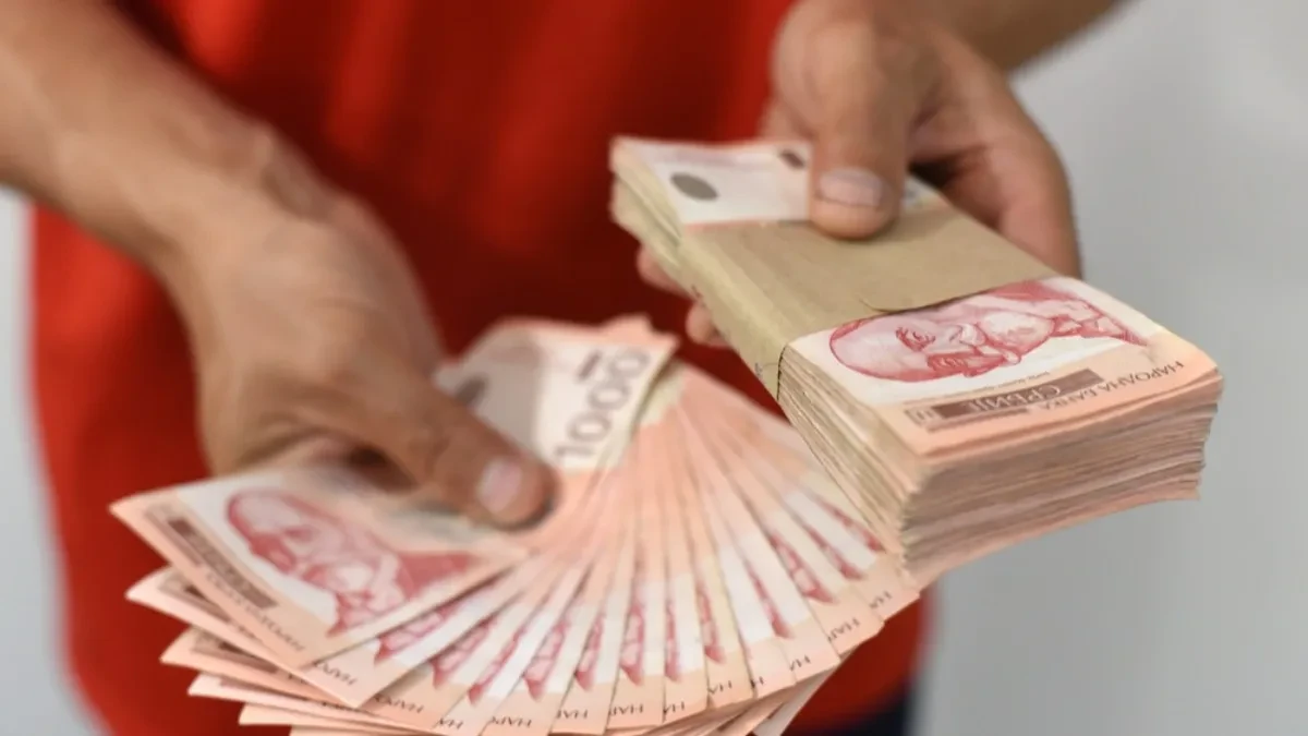 Ko je ovu biljku posadio, sada trlja dlanove: Po hekatru donosi od 133.000 do 260.000 dinara 