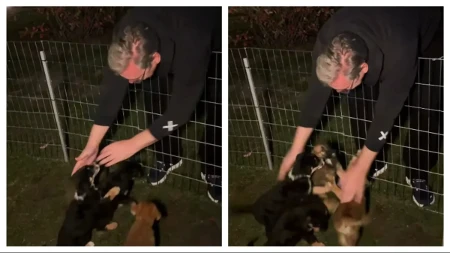 Vučić u ranu zoru posetio svoje štence: "Noćas, posle svih scena užasnog nasilja mir sam pronašao u igri sa njima"