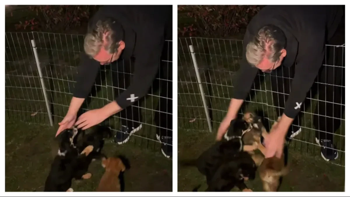 Vučić u ranu zoru posetio svoje štence: "Noćas, posle svih scena užasnog nasilja mir sam pronašao u igri sa njima"