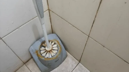 Kako ubiti svu prljavštinu sa četke za wc šolju? Bakterije spadaju sa drške momentalno - naprskajte je ovim