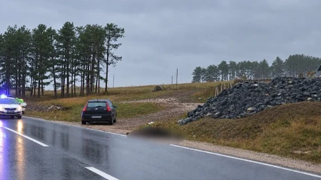  Konj stradao na magistrali preko Zlatibora: Automobil udario životinju na putu ka Novoj Varoši