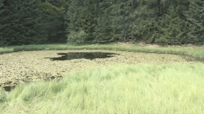 Ovo jezero u Srbiji nema obale: Jeziva legenda kaže da su u njega upali svatovi i utopili se