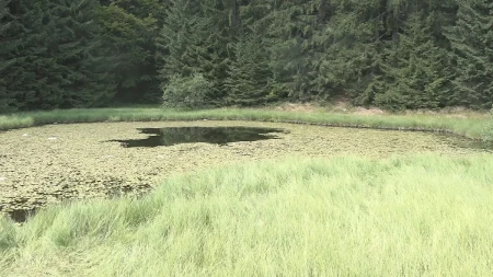 Ovo jezero u Srbiji nema obale: Jeziva legenda kaže da su u njega upali svatovi i utopili se