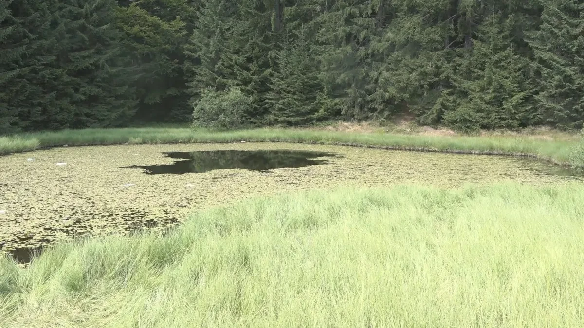 Ovo jezero u Srbiji nema obale: Jeziva legenda kaže da su u njega upali svatovi i utopili se