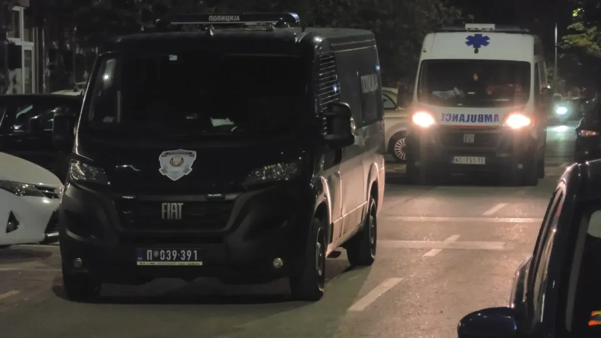 Majku brutalno ubio, pa delove tela stavio u zamrzivač?! M. S. određen pritvor do 30 dana