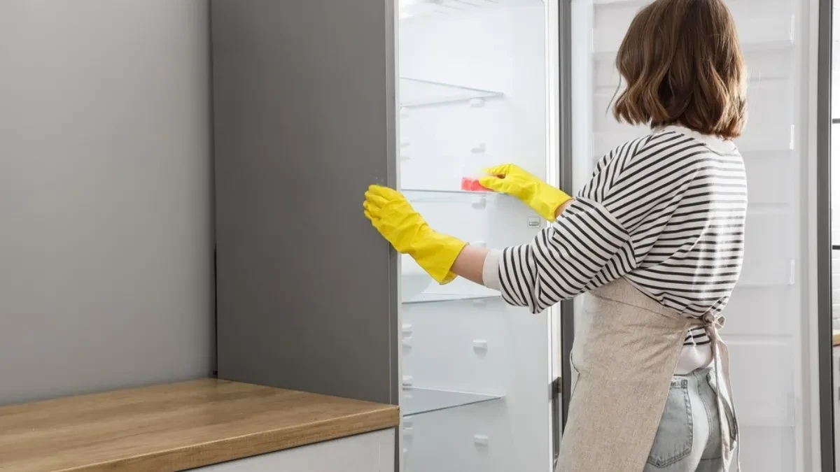 Garant ne čistite ovo mesto u frižideru: Svi koji ovo zanemare se žale da im slabije hladi