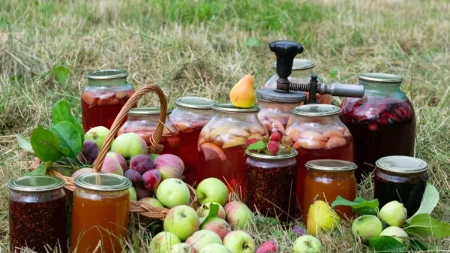Kompot u kom voće zadržava oblik - saveti za zimnicu punu ukusa