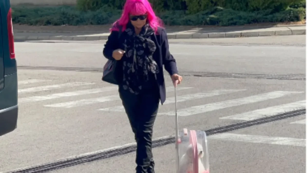 Zorica Brunclik u koferu vuče psa: Došla na snimanje "Pinkovih zvezda", prisutni ne skidaju pogled (VIDEO)