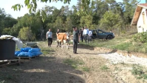 Samohrana majka sa dvojicom sinova živi od 10.000 dinara: Ono što je stiglo u njihovo dvorište vratilo im je nadu