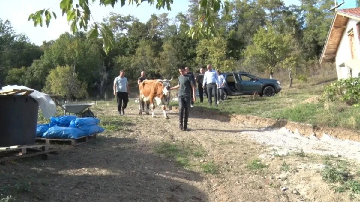 Samohrana majka sa dvojicom sinova živi od 10.000 dinara: Ono što je stiglo u njihovo dvorište vratilo im je nadu