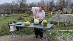Bugarke samo ovako kisele kupus: Zato im ostaje žut kao dukat i hrskav cele zime!