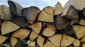 U Nemačkoj je zabranjeno uzimati drva iz šume bez dozvole - kazne mogu da dostignu 100.000 evra