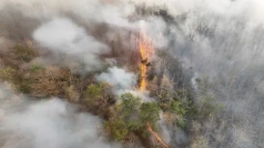Najjači El Ninjo u istoriji sveta donosi klimatski haos! Upućeno je hitno upozorenje