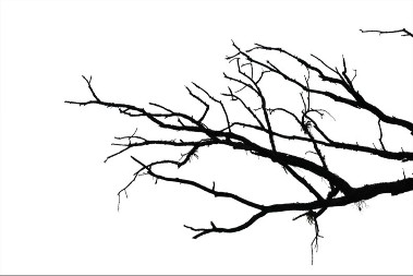 Najtraženiji majstori u Srbiji - zimi ne znaju šta će od posla 