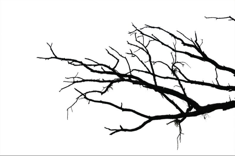 Najtraženiji majstori u Srbiji - zimi ne znaju šta će od posla 