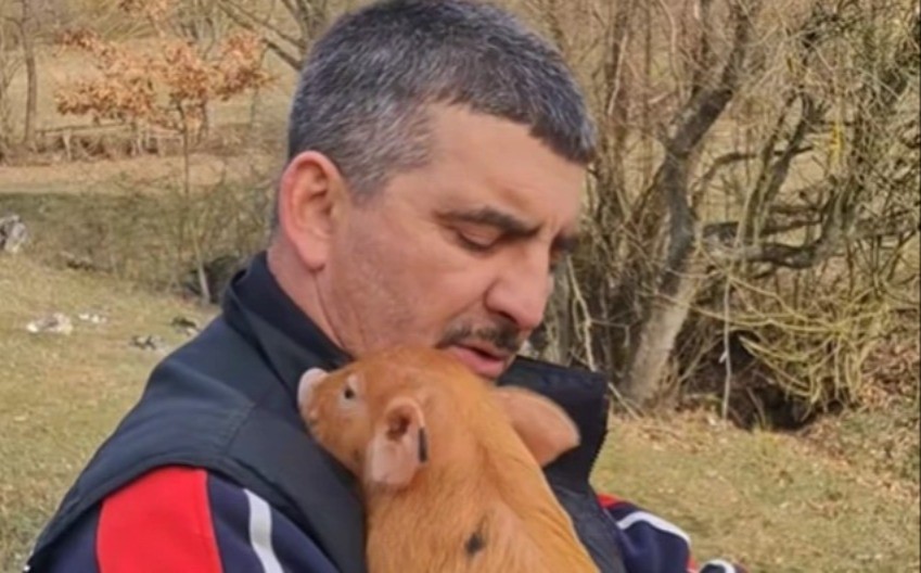 ''OVO PRASE SE ZOVE RATKO...'' Jovica pesmicama o životinjama oduševio Srbiju - pratioci ga mole samo jedno! (VIDEO)