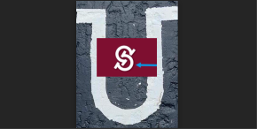 Zašto logo sa FTN neodojivo podseća na simbol ustaštva?