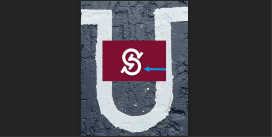 Zašto logo sa FTN neodoljivo podseća na simbol ustaštva?