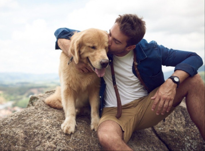 ŠOKANTNO UPOZORENJE VETERINARA Tri greške skraćuju život vašeg ljubimca - većina vlasnika ih pravi svakog dana!