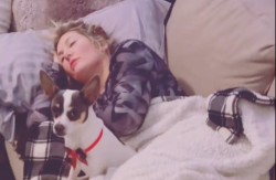 Pas oduševio 2,5 miliona ljudi: Muž hteo da se našali sa ženom, ljubimac ga šokirao!