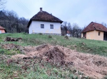 Dragan prodaje plac i dve kuće u Kosjeriću za 15.000 evra: Raj za vikendice i moguća pogodba