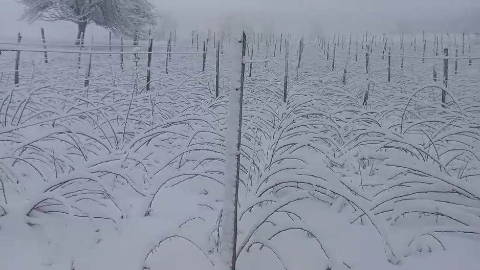 Sneg okovao Ivanjicu: Putevi prohodni ali ponovo manji problemi sa strujom 