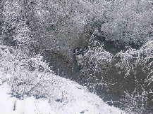 Vozilo u kom su bile četiri žene sletelo u reku, izvlačili ih meštani i vatrogasci-spasioci 