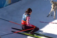 DRAMA NA ZOI Hrvatica mislila da je vuk juri na stazi