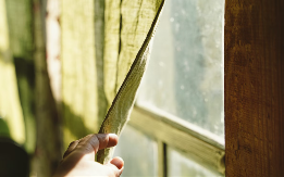 OSTALI SU U ŠOKU Turisti rezervisali sobu s pogledom na jezero, kad su pogledali kroz prozor NIJE IM BILO DOBRO (VIDEO)