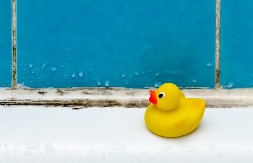 Kako ukloniti buđ sa fuga: Jedan proizvod skida crne fleke bez ribanja