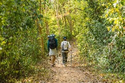 MISLILA JE DA ŠUMU U KOJOJ REDOVNO ŠETA POZNAJE KAO SVOJ DŽEP, A ONDA JE OTKRILA NEŠTO NEVEROVATNO "Ne mogu da verujem da to nisam videla ranije"