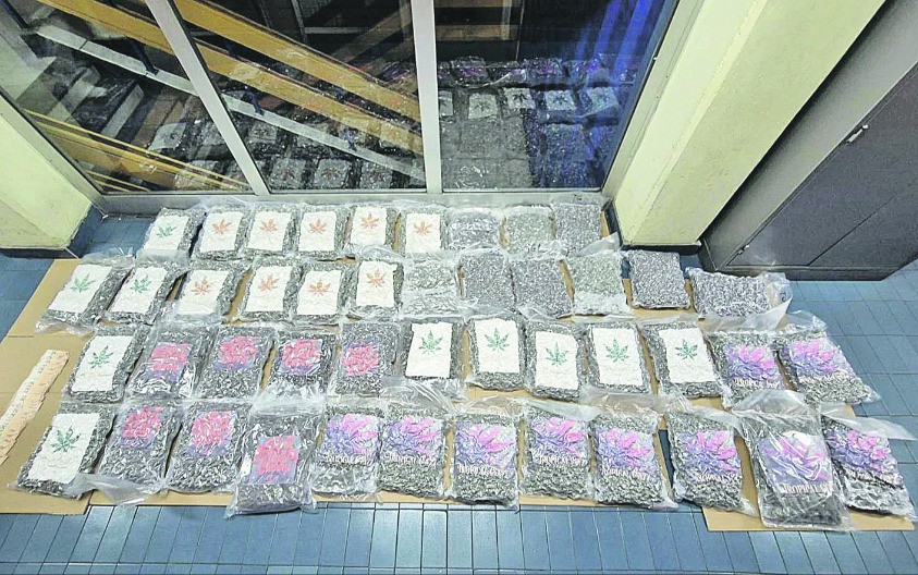 JOŠ JEDAN UDARAC NARKO-MAFIJI Kamiondžija iz Mađarske uneo marihuanu u Srbiju! 