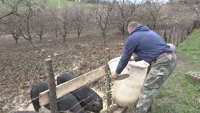 Pojavila se kuga svinja, proglašeno ugroženo područje - najkritičnije u selu Jelenac