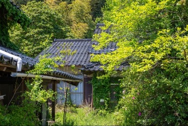 Bogata zemlja, a prodaju kuće za 4.000 evra - ne treba ni državljanstvo