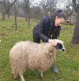 BILA JE SRPSKA MONIKA BELUČI, A DANAS ČUVA OVCE Glumica ostavila sve i odlučila se za život na selu (FOTO)
