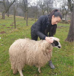 BILA JE SRPSKA MONIKA BELUČI, A DANAS ČUVA OVCE Glumica ostavila sve i otišla da živi na selu (FOTO) 