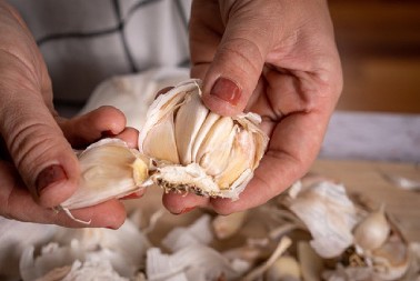 DESIĆE SE MAGIJA Ne bacajte ljuske belog luka, već ih stavite oko cveća u bašti