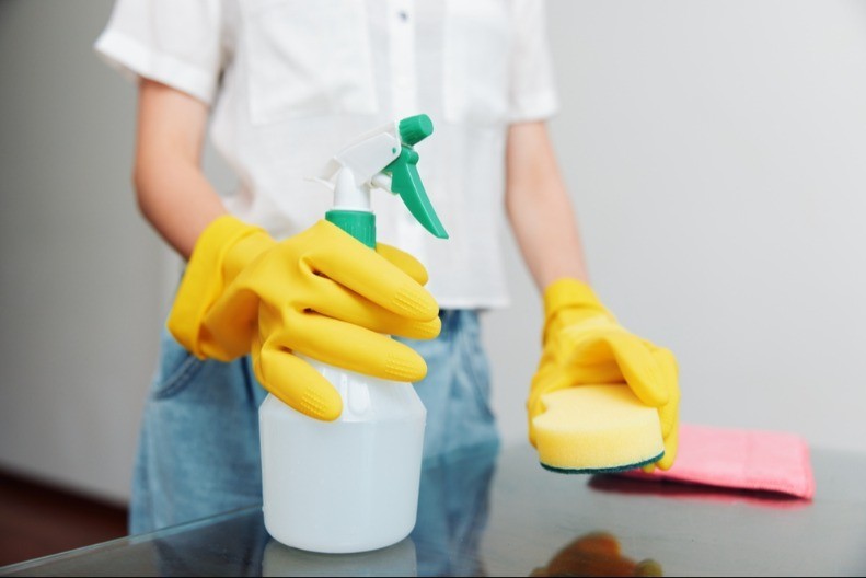 PROLEĆNO ČIŠĆENJE VREBA IZA UGLA Evo odakle je najbolje da krenete, skratite sebi muke ovako