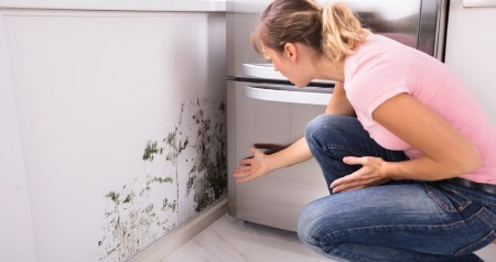 Ovako Finci zauvek rešavaju problem vlage i buđi u kući: Ne košta ni dinar, a kažu da je bolje od bilo kakve hemije