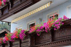 NEKE VRSTE MOGU DIREKTNO NA SUNCE, ZA NEKE JE JOŠ RANO: Kada izneti cveće na terasu? 