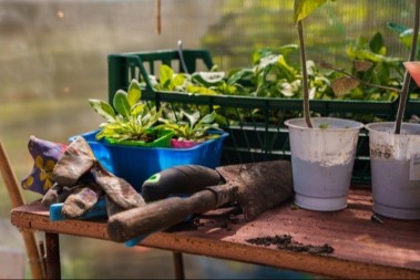 Pre proleća iznesite kečap u dvorište: Stručnjak otkriva razlog koji će vas iznenaditi