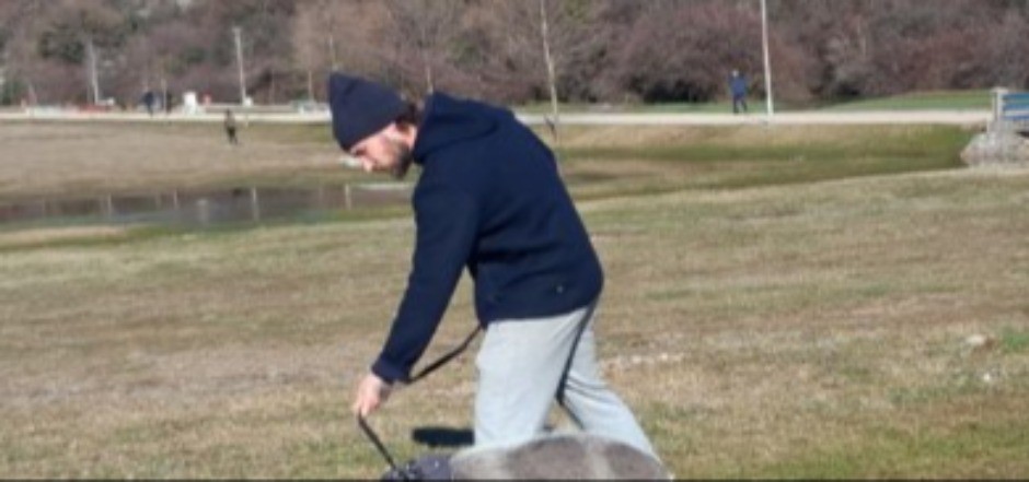 NEVIĐENA SCENA U NIKŠIĆU Italijani prošetali ''kućnog ljubimca'' na povocu - komšije se krstile i levom i desnom! 