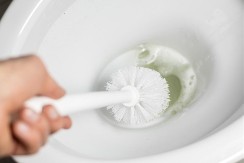 Obično stoji u fioci za lekove, a čisti WC šolju kao od šale: Kamenac spada za tili čas, otpada i onaj najtvrđi