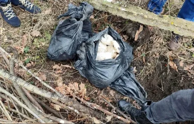 VELIKA ZAPLENA U PANČEVU Pronađeno 25 kila zakopane droge