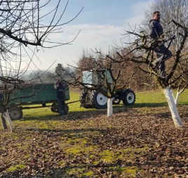 Đorđe prodaje seosko domaćinstvo: 96 ari imanja za 35.000 evra