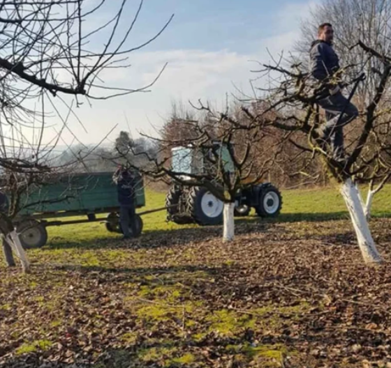 Đorđe prodaje seosko domaćinstvo: 96 ari imanja za 35.000 evra